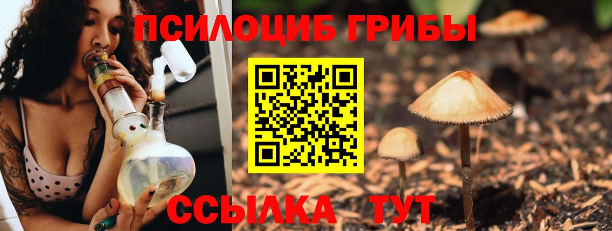 Зеленогорск  Псилоцибиновые грибы Psilocybine cubensis  Галлюциногенные грибы GOLDEN TEACHER  Вход с VPN 