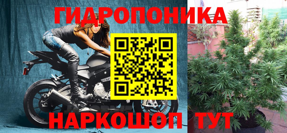 Канабис MAZAR  МАРИХУАНА планчик  Каннабис OG Kush  Вход с VPN  Зеленогорск 